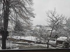Aleksinac, sneg, januar 2023, foto Jovana Stojanovic 2