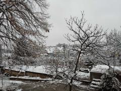 Aleksinac, sneg, januar 2023, foto Jovana Stojanovic 3