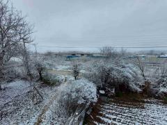 Vranje, januar 2023, sneg, foto Milica Dejanovic 1