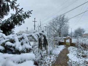 Slika broj 1658544. Foto-vest: Sneg na jugu Srbije, temperature oko nule