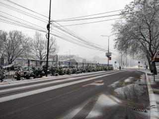 Sneg Niš 2, januar 2023; foto: JV Ljubica Jocić