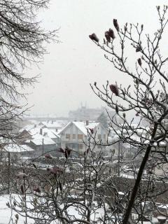 Aleksinac sneg u aprilu 1; foto: JV