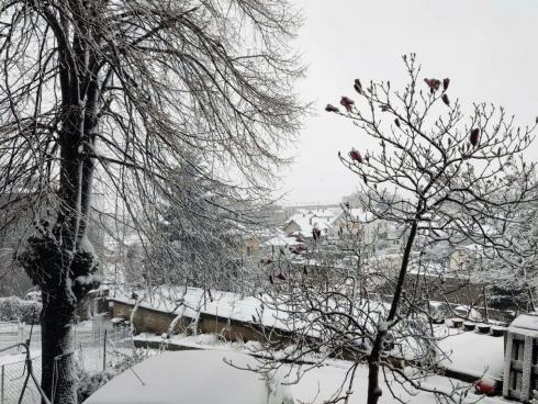 Aleksinac sneg u aprilu; foto: JV