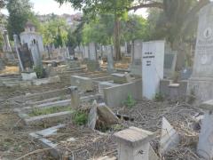 Staro groblje, čitateljka (1)