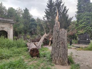 staro groblje zanemareno2