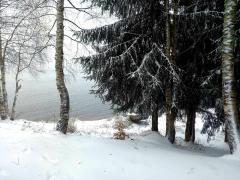 vlasinsko jezero sneg 3