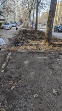 Kopanje trotoara na Bulevaru Nemanjića