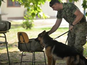U niškoj kasarni vodiči i psi uče kako se pronalaze eksplozivna sredstva