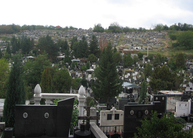 Groblje u Leskovcu 1