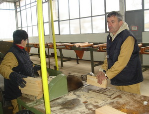 VOJKIMIR MILETIC RADNIK