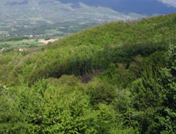 suva planina