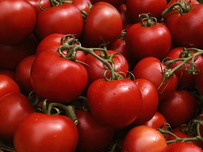 paradajz