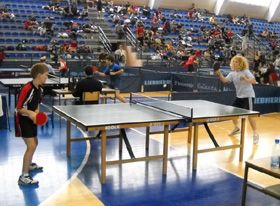 Pobede stonotenisera iz Svrljiga 1 STONOTENISERI SVRLJIGA U BORU LIGA MLADIH