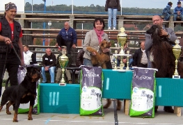 Najlepsi psi izlozbe