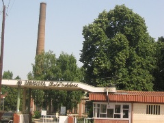 Zele Veljkovic novo2