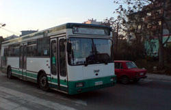 bus