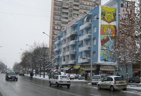 leskovac centar
