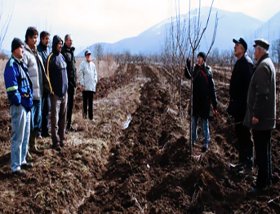 edukacija vocara svrljig