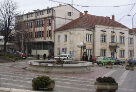 Bojnik Skupstina opstine sediste mala