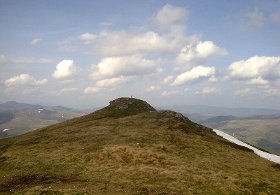 besna kobila wikipedia