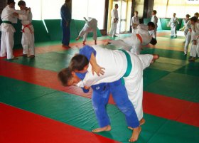 nis judokinezis com