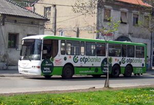 bus