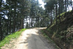 leskovac planina hisar