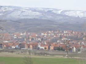 babusnica