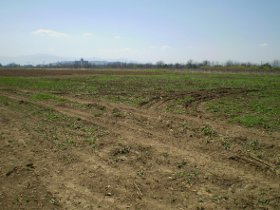 leskovac zelena zona sever