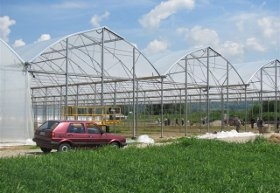 490x370 leskovac plastenik