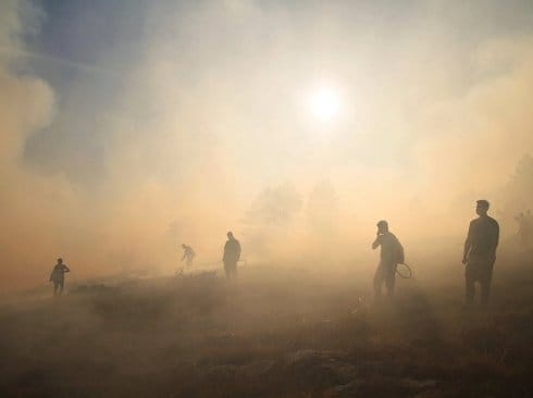 Izložba "Volonteri u akciji" u Evropskom kutku 17 evropski kutak pobednik