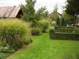 leskovac zatvor zelenilo