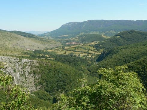 pirot vladikine ploce