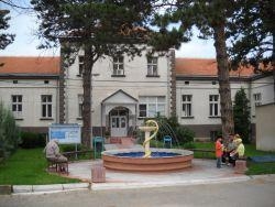 490x370 t t infektivno prokuplje