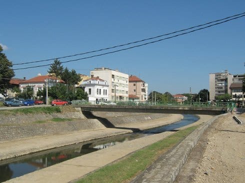 Utvrđen uzrok pomora ribe u Veternici 14 leskovac veternica most