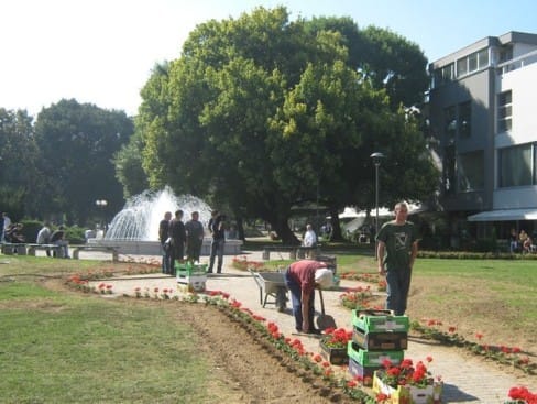 Zdravkovic 3 novo mesto