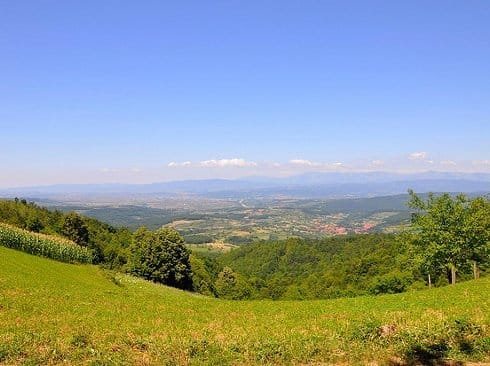 leskovac velika kopasnica