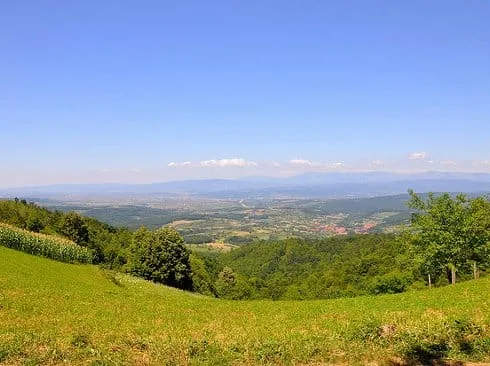 leskovac velika kopasnica