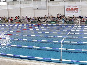 leskovac plivacki miting