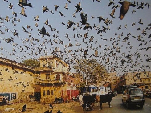 Izložba u Galeriji LKC-a 5 leskovac fotografije