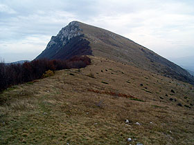 suva planina pozar