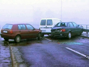 udes kod bele palanke