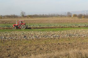 leskovac poljoprivreda