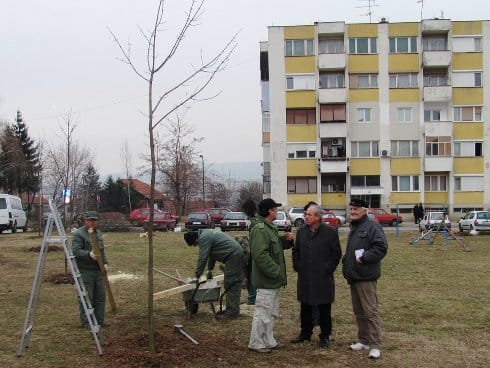 Palilula uredjanje prostora