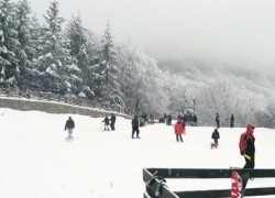 490x370 490x370 p dom