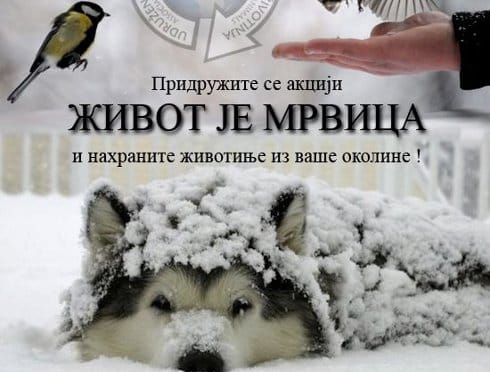 Akcija "Život je mrvica" u Nišu 11 poster mrvica