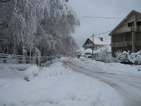 leskovac zima sejanica