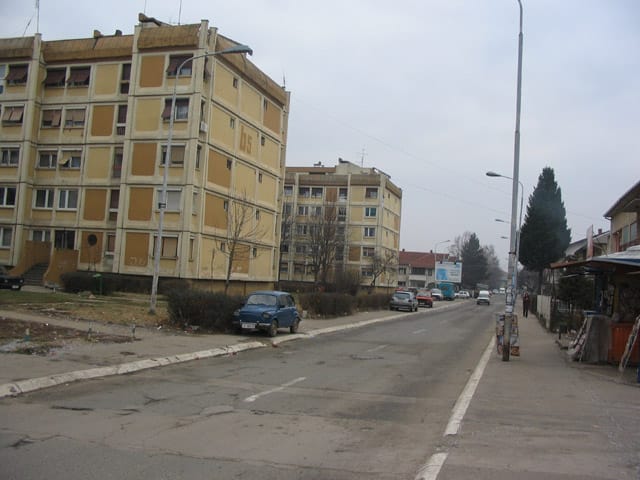 Dubocica leskovac4