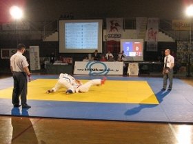 aleksinac dziu dzicu 2