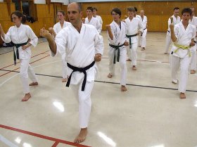 leskovac karate